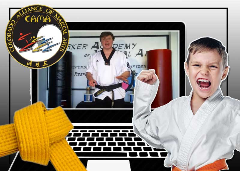 Online Taekwondo Classes