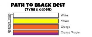Beginner Belts