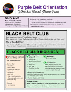 Black Belt Club Flyer