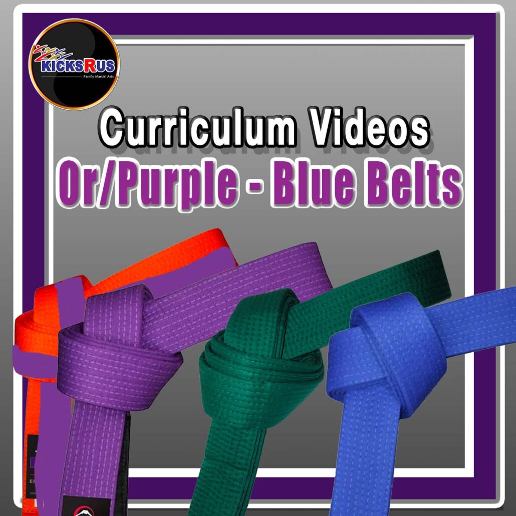 Purple and Blue Curriculum